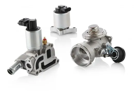 EGR Valves