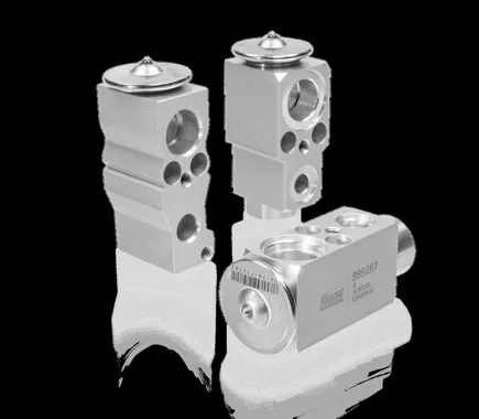 Expansion Valves