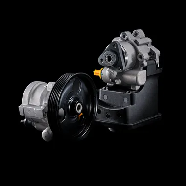 Power Steering Pumps